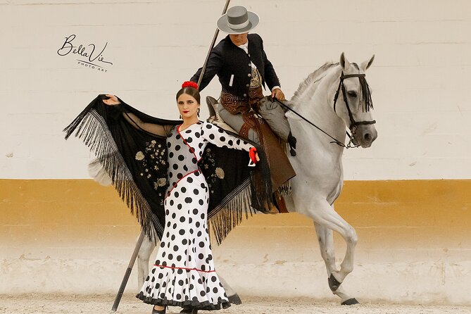Horse and Flamenco Show in Malaga - The arena show: why Ritmo a Caballo works so well