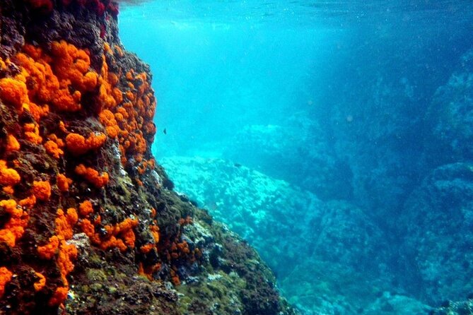 Kayak & Snorkel Tour in Cerro Gordo Natural Park, La Herradura - Key Highlights You Will Feel Immediately