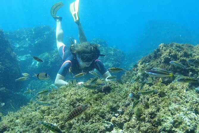 Kayak & Snorkel Tour in Cerro Gordo Natural Park, La Herradura - Snorkel Stops Along the Way: Clear Water, Seaweed, and Cave Expectations