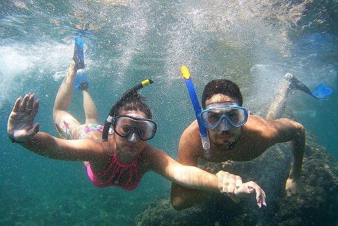 Kayak & Snorkel Tour in Cerro Gordo Natural Park, La Herradura - Guides Who Set the Tone: Friendly, Adaptable, and Good at Reading Conditions