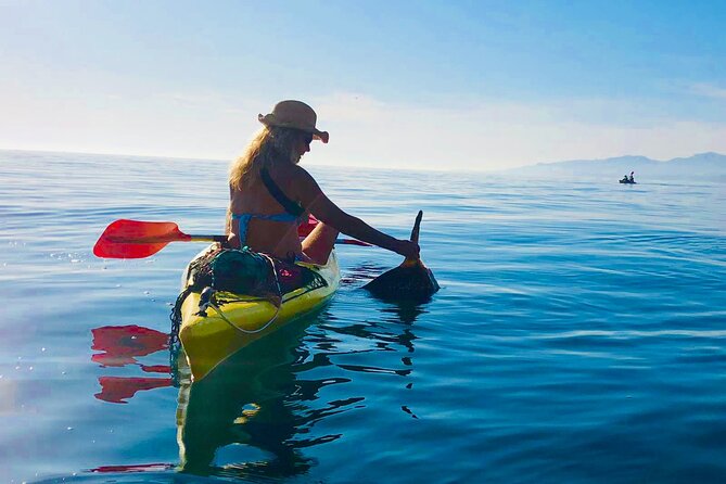 Kayak & Snorkel Tour in Cerro Gordo Natural Park, La Herradura - Price and Value: Why $34.76 Can Work for Most Budgets