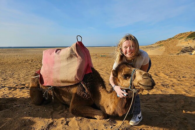 Luxury Malaga to Tangier Day Trip: Transfer, ferry, camel & Souks - Luxury transfer from Malaga to Tangier, then straight into the day