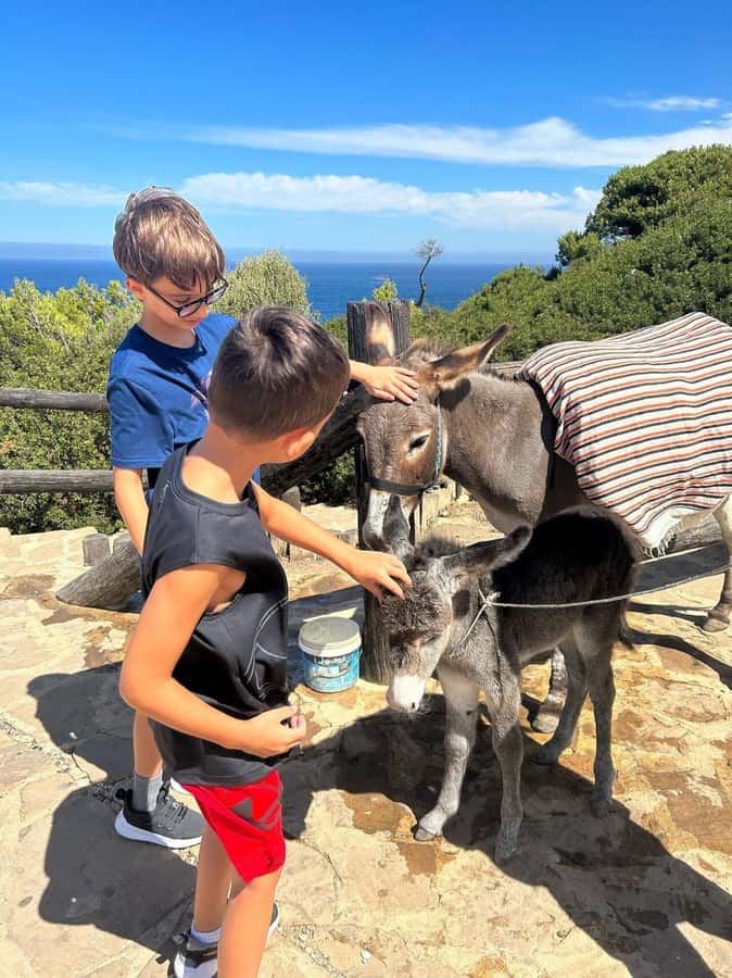 Luxury Private Tangier Tour from Marbella all inclusive - Your big 3-hour Ancient Medina walk, souks, and mint tea moments