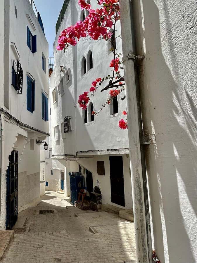 Luxury Private Tangier Tour from Marbella all inclusive - What the food and included comforts are really buying you