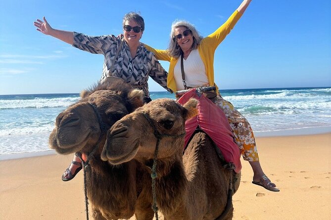 Luxury Private Tour of Tangier from Marbella All Inclusive - Tangier Casbah and the Medina: the part that feels most like a city