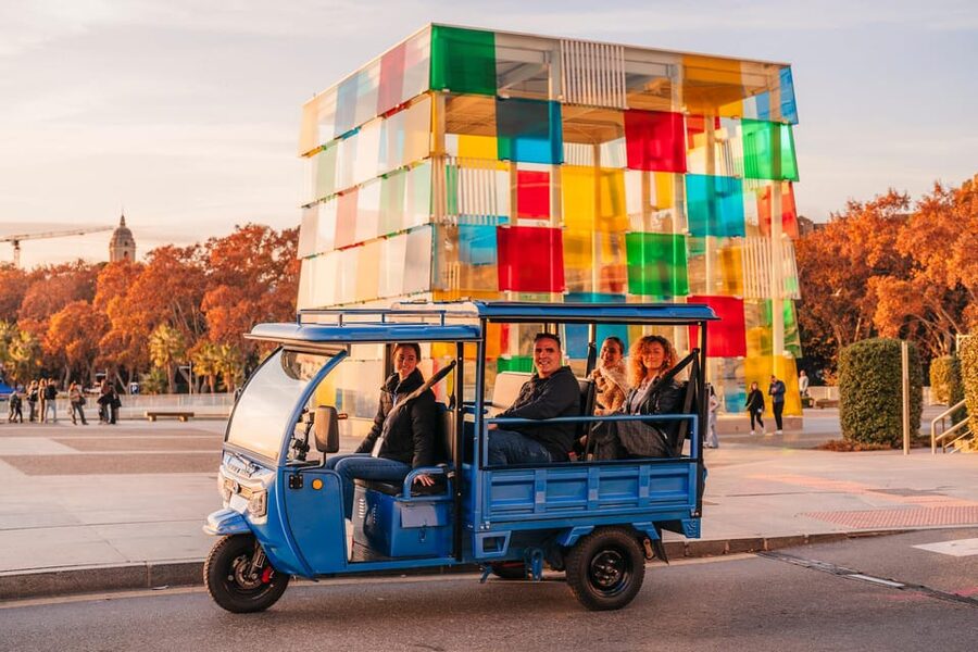 Málaga 1-hour by TukTuki: Essential and Private Tour - TukTuk-i in Malaga: What This 1-Hour Tour Delivers