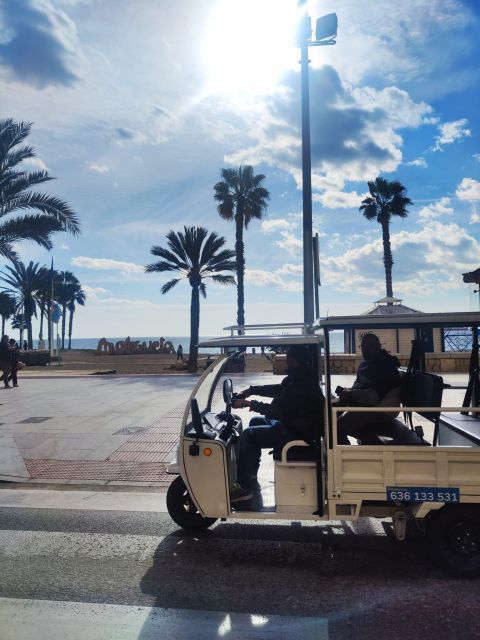 Málaga 1-hour by TukTuki: Essential and Private Tour - Larios Street, the Lamppost, Shipyard Market, and Plaza de la Merced