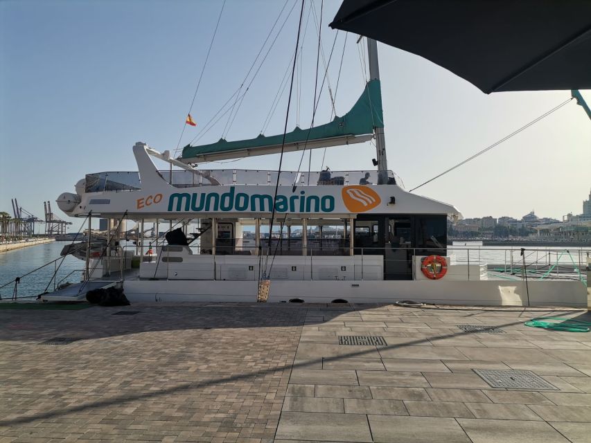 Malaga: A Sea of Stars Nighttime Stargazing Catamaran Tour - Why Malaga’s Night Sky Feels More Real From a Catamaran