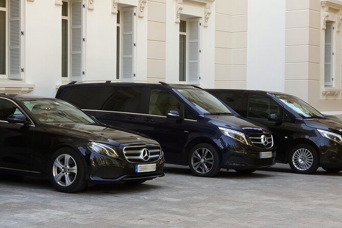 Malaga Airport (Costa del Sol) Private Arrival Transfer - Key highlights to know before you book