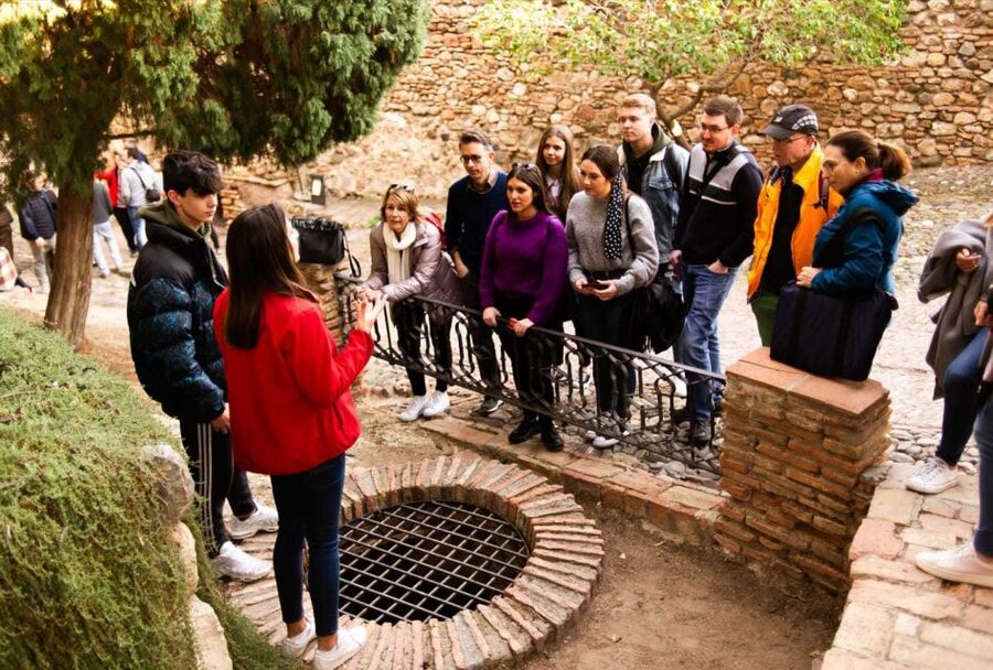 Málaga: Alcazaba and Roman Theatre Guided Tour With Entry - Value and Price: Is $14 a Good Deal?