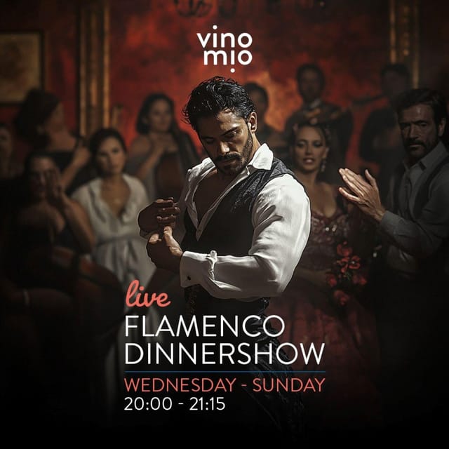 Malaga: Authentic Flamenco Dinner Show at Vino Mio - Why a Malaga flamenco dinner show at Vino Mio feels authentic