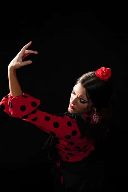 Malaga: Authentic Flamenco Dinner Show at Vino Mio - Where to meet and what the pre-show moment is like