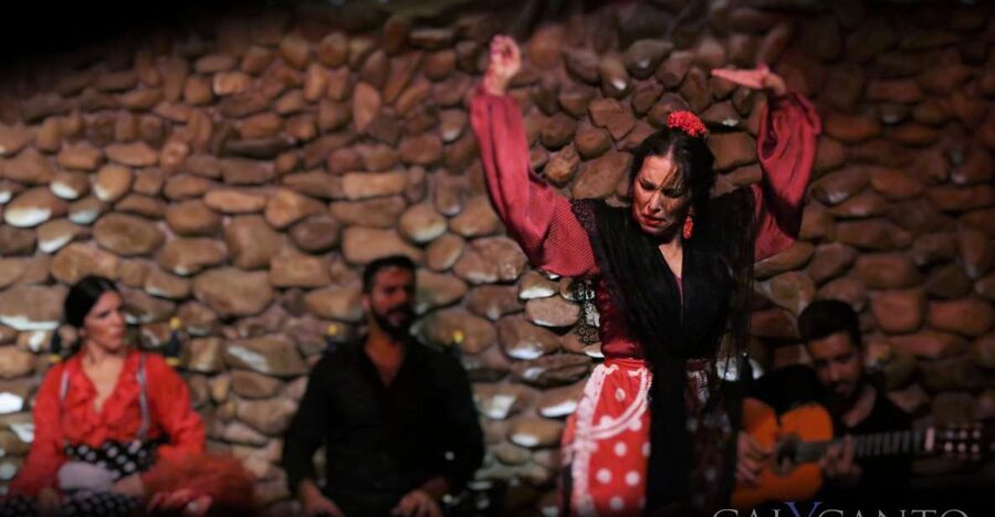 Malaga: Authentic Flamenco Show at El Gallo Ronco - Key points before you go