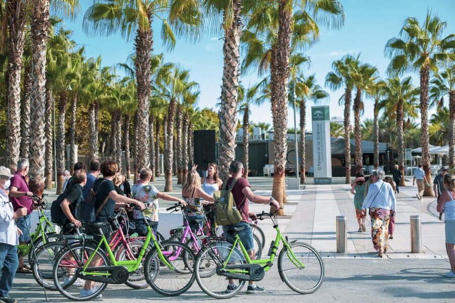 Malaga Bike Tour - Old Town, Marina & Beach - Graffiti Neighborhood and Street Art: Getting Meaning at Street Level