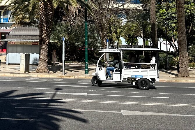 Malaga by Tuk Tuk i : 1 or 2 hours Private city tour - Gibralfaro Hill and the Fortress Story You Can See