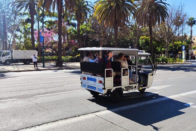 Malaga by Tuk Tuk i : 1 or 2 hours Private city tour - Setting Off From C. Vélez Málaga: The Easy Logistics