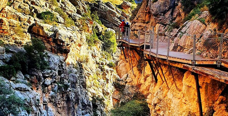 Málaga: Caminito del Rey Guided Tour with Transportation - Price and value: why $69 can be a smart deal