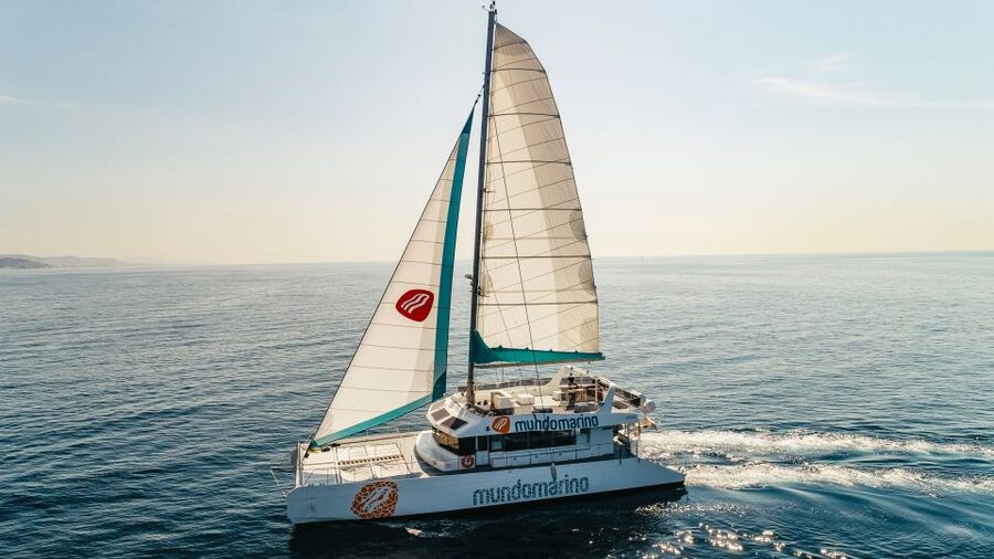 Malaga: Catamaran Sailing Cruise with Swimming & Optional DJ - Entering the Sea Views of Malaga From Mundo Marino
