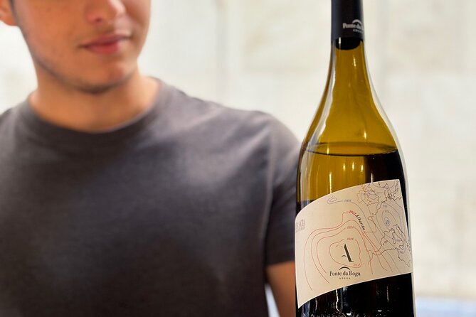 Malaga City Wine Tour - A smart idea: tasting Spain’s range without leaving Malaga