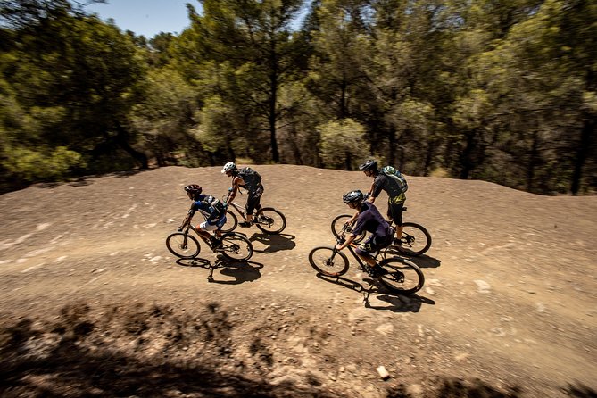 Malaga E-MTB Tour: Botanical Garden, Natural Park and Port of Malaga - Meeting Point at C. Hoyo de Esparteros, and How the Start Feels