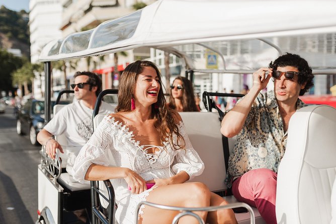 Malaga Express Tour with Local Guide in Eco Tuk Tuk Private - Inside Malaga’s cathedral: what to look for at the Holy Cathedral Basilica