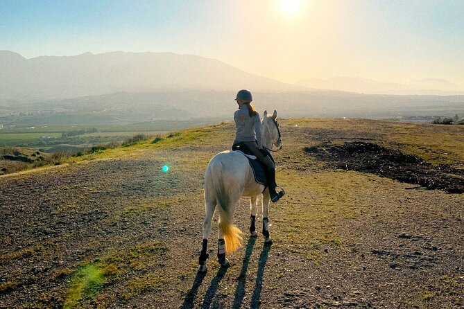Malaga - guided horseback riding - The 1-hour itinerary: warm-up laps to stream-side views