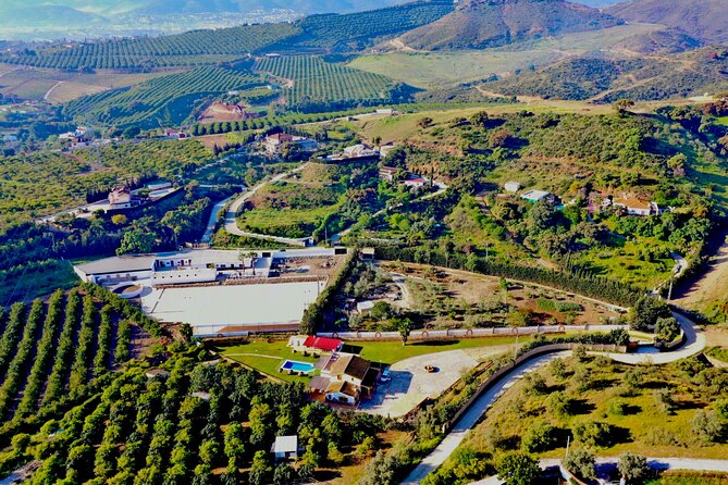 Malaga - guided horseback riding - Pace and expectations: a chilled ride, not a stunt show