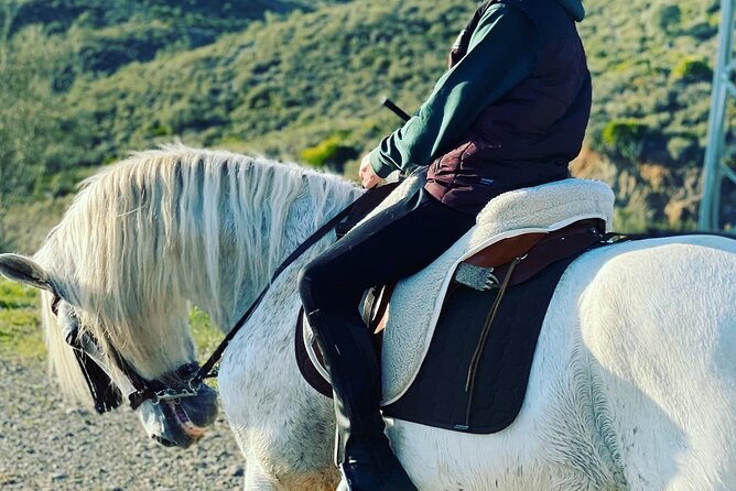 Malaga - guided horseback riding - Scenery beats gadgets: why the route feels worth it