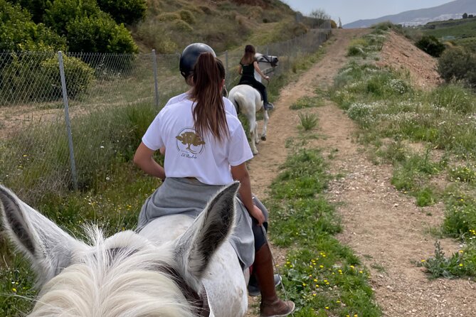 Malaga - guided horseback riding - Price and value at about $45.66 per person