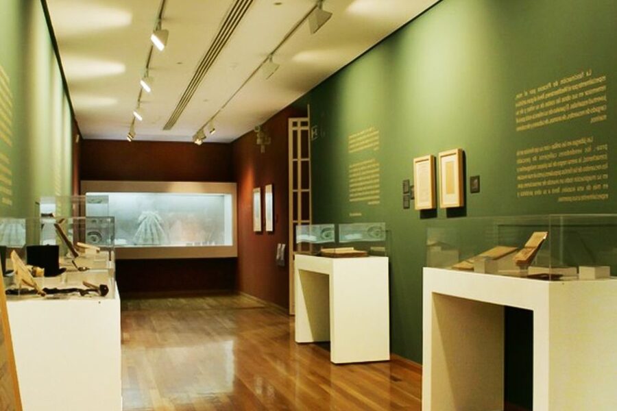 Malaga: Guided tour of Picasso's Birthplace Museum - Meeting the Picasso family connection