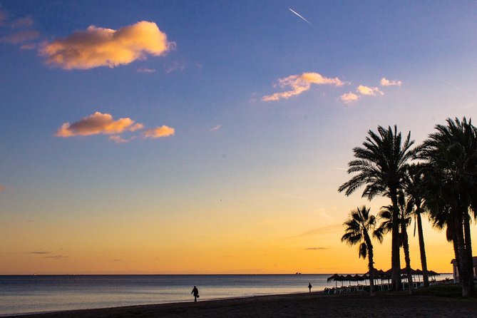 Malaga Highlights, Old Town & Viewpoints Walking Tour - Puerto de Málaga: A Port Stop With Real Context