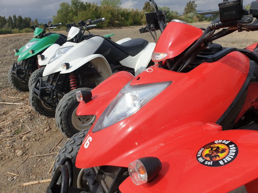Málaga: Off-Road 2-Seater Quad Tour through Land and River - Wildlife and Birds: What You Might See (and How to Enjoy It)