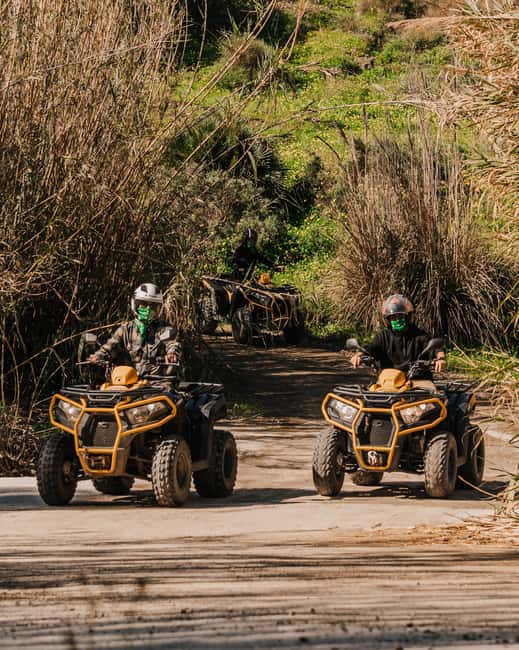Málaga: Off-road Tour by 2-Seater Quad in Mijas - Wildlife spotting chances in the Mijas mountains