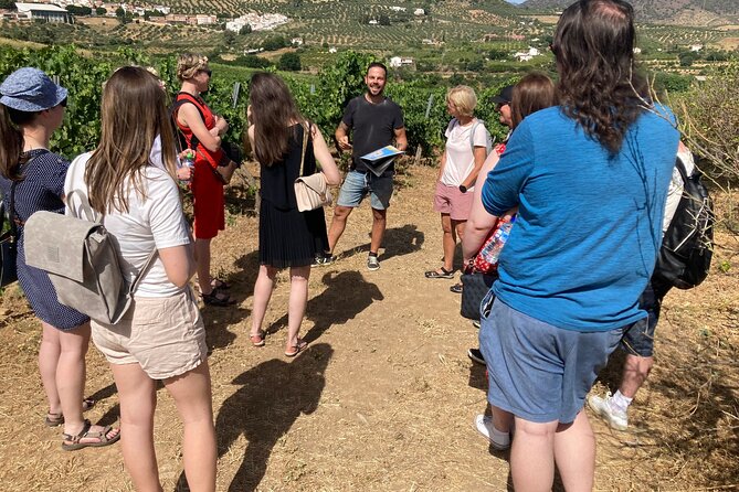 Malaga Organic Vineyard and Winery Six Wines Tapas and Transfer - Quick highlights you should know before you go