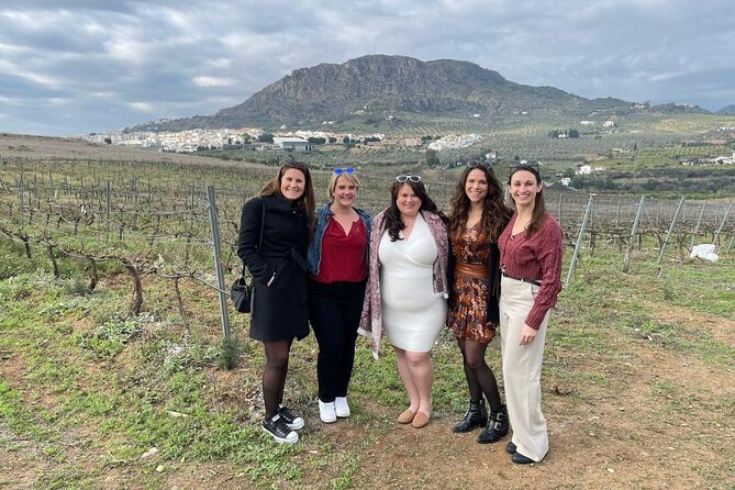 Malaga Organic Vineyard and Winery Six Wines Tapas and Transfer - Getting out of Malaga: the A/C van ride that sets the mood