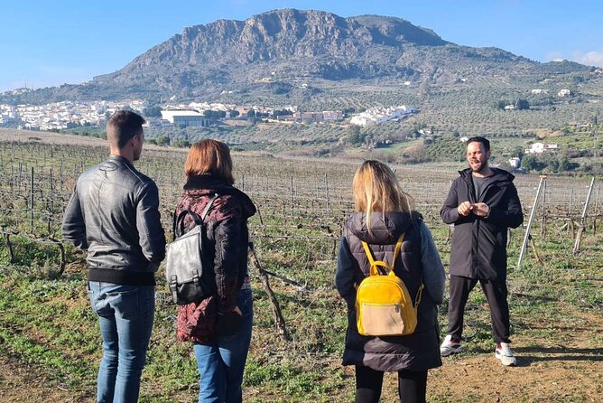 Malaga Organic Vineyard and Winery Six Wines Tapas and Transfer - The 5-bites pairing system: why the food makes the wine make sense