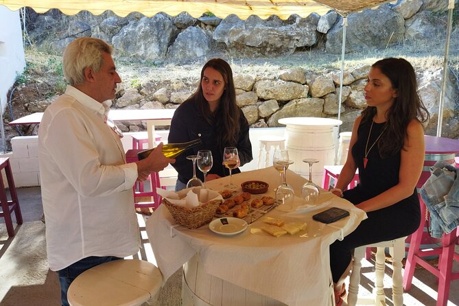 Malaga Organic Vineyard and Winery Six Wines Tapas and Transfer - Pace, timing, and small-group comfort in a 4 to 5 hour window