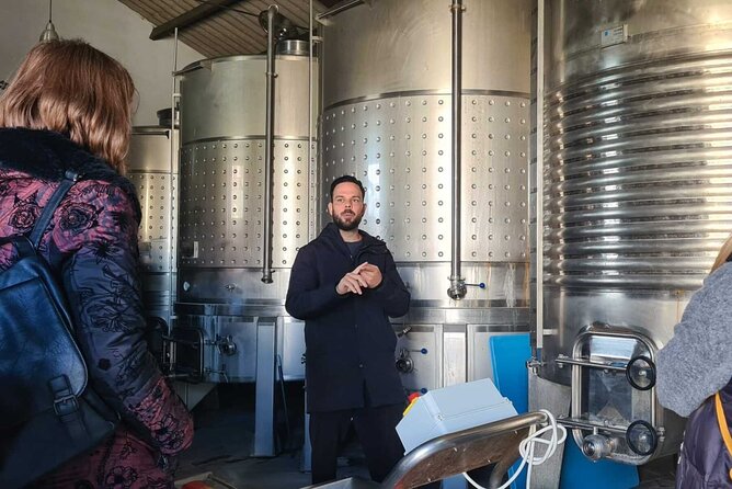 Malaga Organic Vineyard and Winery Six Wines Tapas and Transfer - Price and value: what you’re really paying for