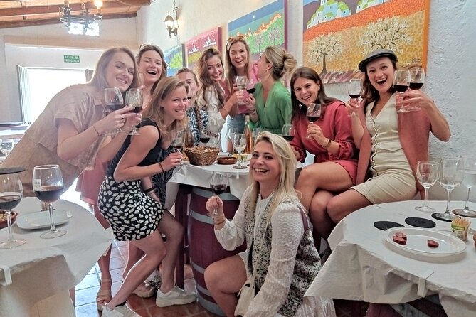 Malaga Organic Vineyard and Winery Six Wines Tapas and Transfer - Who should book this organic wine and tapas day trip?