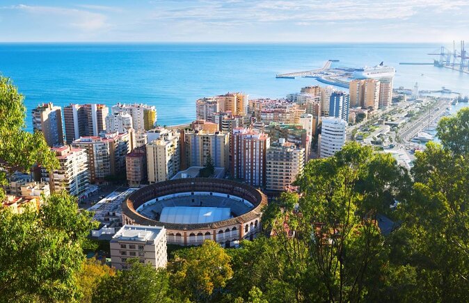 Malaga Organic Vineyard and Winery Six Wines Tapas and Transfer - Should you book this organic vineyard and winery tour from Malaga?