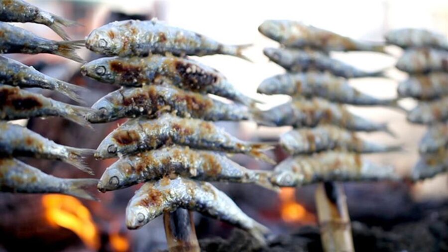 Malaga: Paella and Tapas Tour with The Best Flamenco Show - The Bottom Line, Should You Book This Malaga Paella and Tapas + Flamenco Tour?
