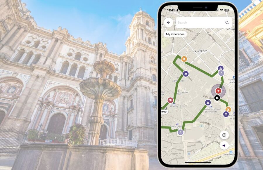 Málaga: Picasso Birthplace Museum Ticket & City Audio Guide - Price and value: is $11 a good deal for Picasso access?