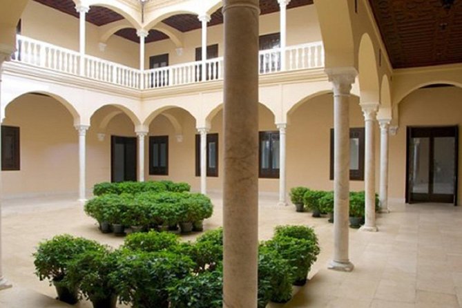 Málaga Picasso Museum Private Guided Tour - When this tour fits you best