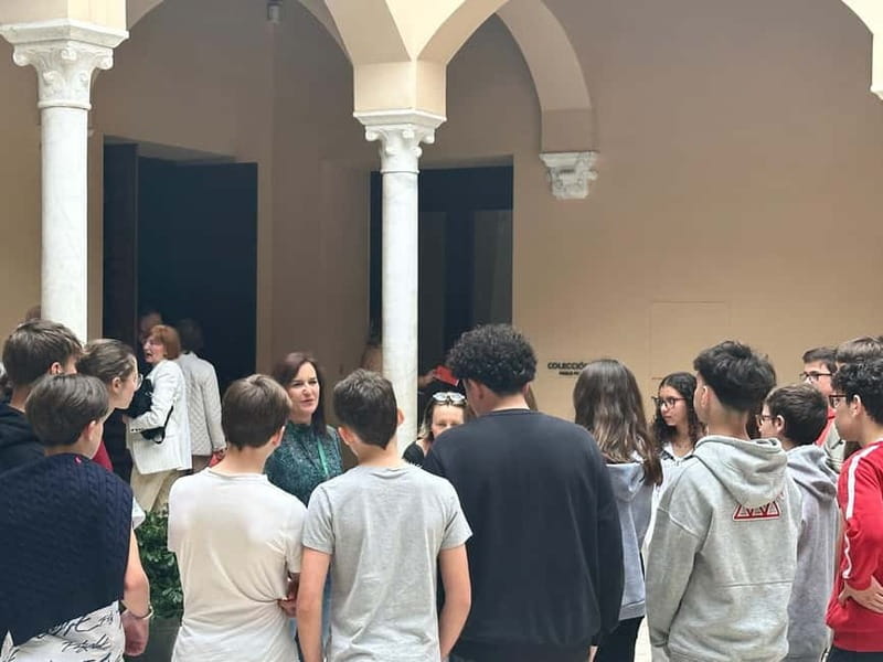 Malaga: Picasso Museum Tour Expert Art Guide, entrance fee included - The 1-Hour Guided Plan, From Meeting Point to Headphones