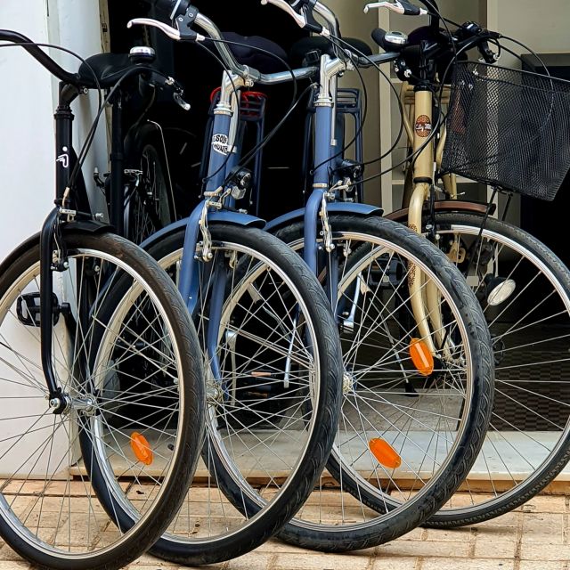 Malaga: Private Bike Rental - Price and Value: What $12 Per Person Really Buys You
