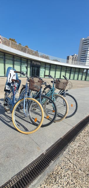 Malaga: Private Bike Rental - Riding Comfort, Pacing, and How Not to Turn a Fun Day Into Work