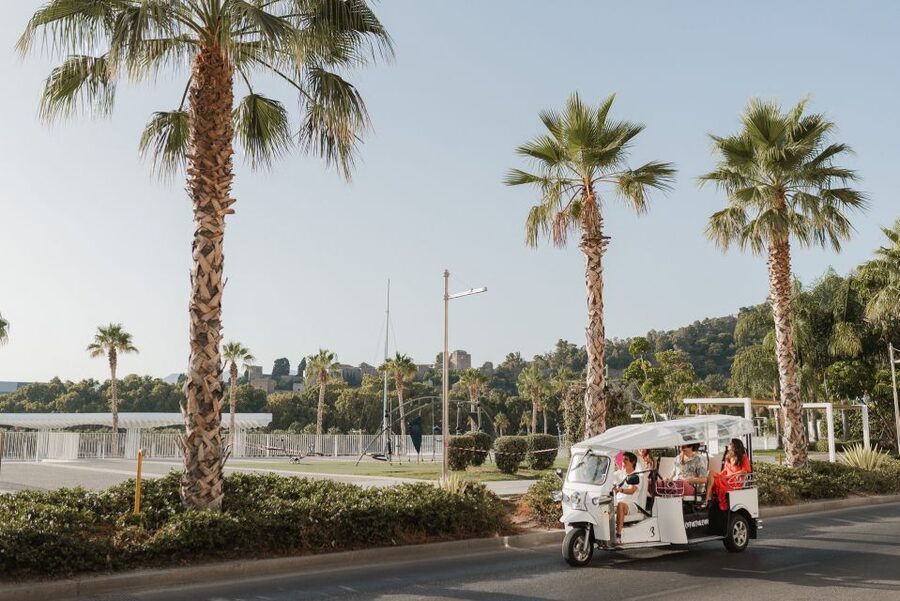 Malaga: Private City Tour by Eco Tuk Tuk - Who this tour suits best, and who should skip it