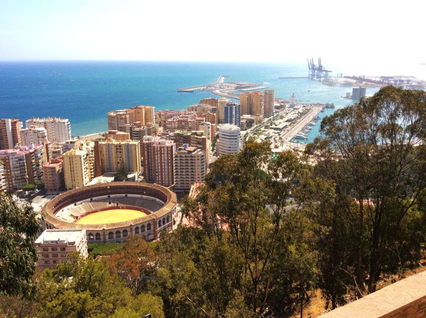 Malaga: Private walking tour - The Picasso route: art history that stays practical