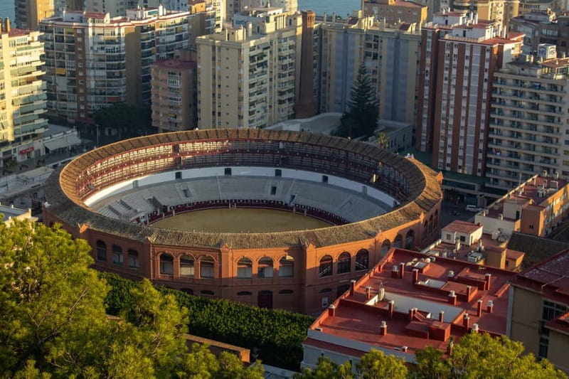 Malaga: Private Walking Tour with Official Guide - Picasso focus: museums, painters, and the art angle