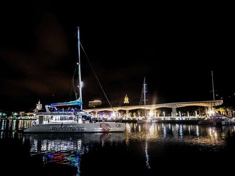 Malaga: Sailing Catamaran Sunset Cruise with Live DJ & Drink - Live DJ energy and the light show: Party cruise vibes at sea